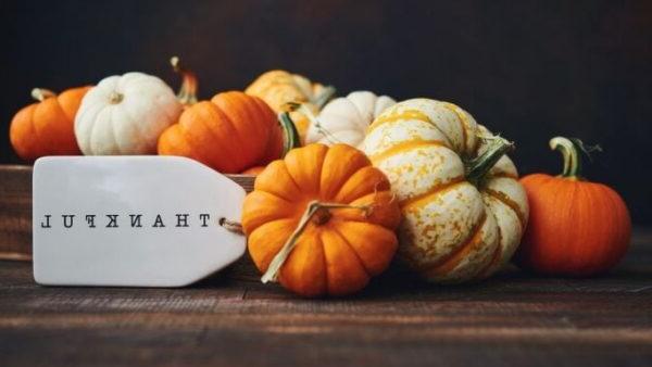 mini pumpkins and tag that says thankful